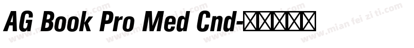 AG Book Pro Med Cnd字体转换